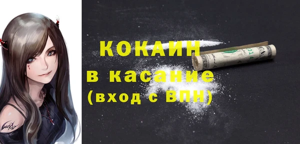 сатива Балахна