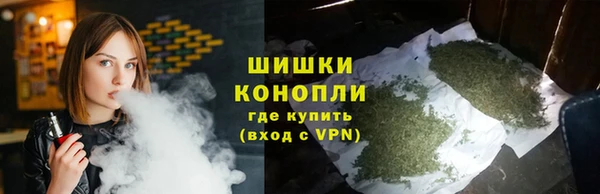 сатива Балахна