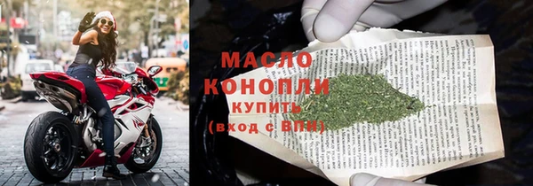 сатива Балахна